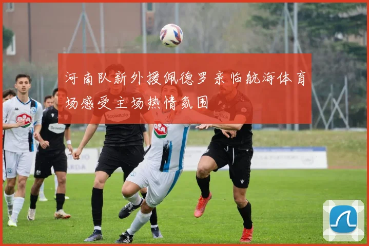 河南队新外援佩德罗亲临航海体育场感受主场热情氛围