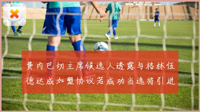 费内巴切主席候选人透露与格林伍德达成加盟协议若成功当选将引进他